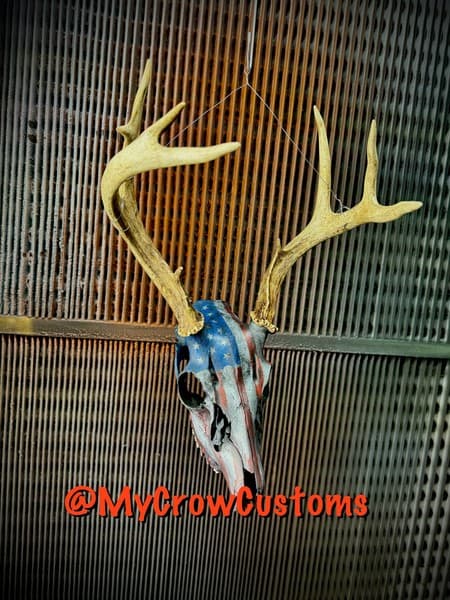Applicator project image 4